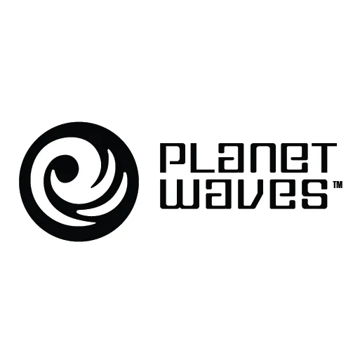 PLANET WAVES (1)