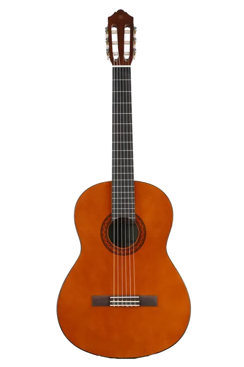 Best guitar under 10000 for beginners